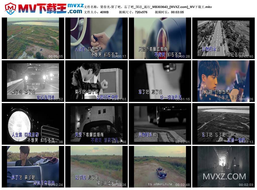 梁春光-算了吧，忘了吧_国语_流行_MB303643